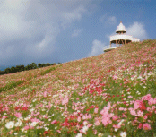 翠波高原